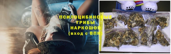 PSILOCYBIN Беломорск