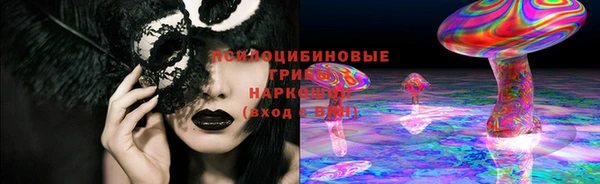 PSILOCYBIN Беломорск