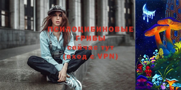 тгк Белокуриха