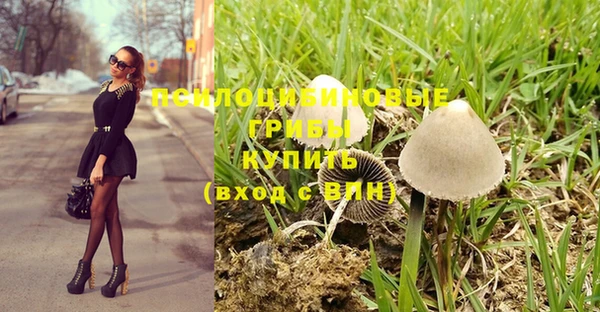 PSILOCYBIN Беломорск
