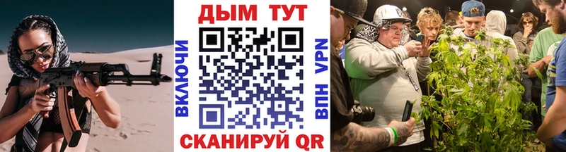 Шишки марихуана марихуана нарко площадка какой сайт Гусев